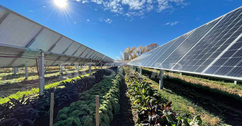 Agricultural Farmland Solar Mounting System