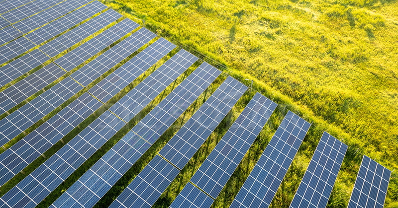 solar photovoltaic agrivoltaic farm