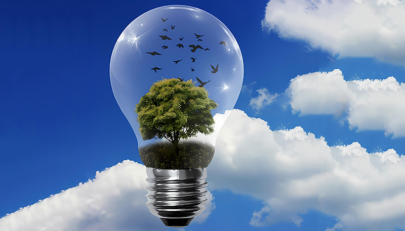 In der Ukraine stieg die Erzeugung erneuerbarer Energien um 10 %.