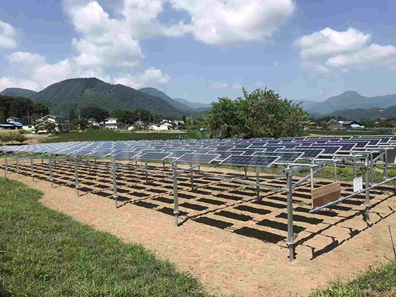 80-kW-PV-Agrar-Solarmontagesystem in Chile