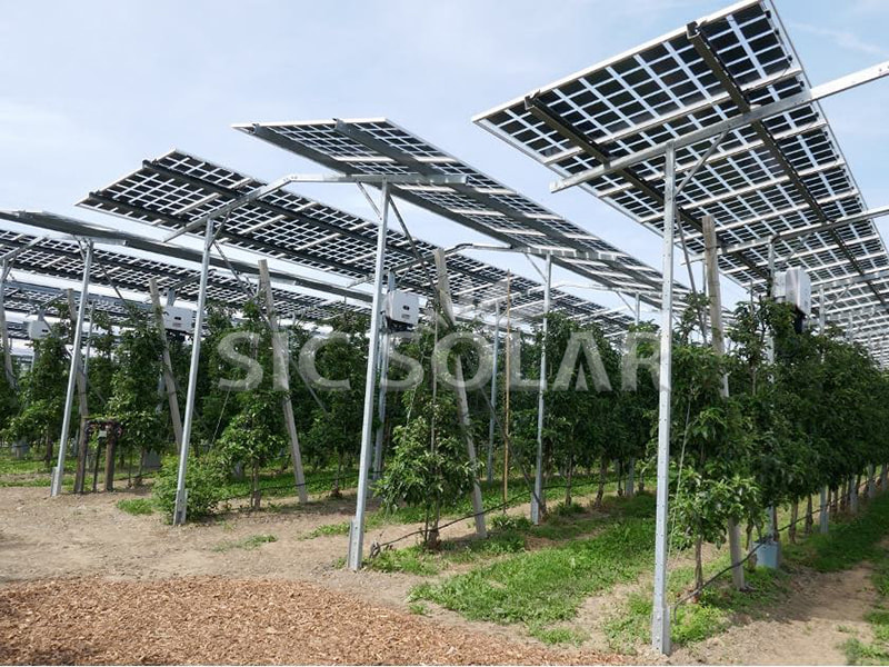 150KW Photovoltaic Agricultural Installation Bracket In USA